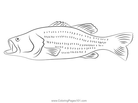 Largemouth Bass Closeup Coloring Page Bass Outline, Bass Tattoo, Embroidery Napkins, Largemouth Bass, Big Mouth, Screen Savers, Free Kids, Goldfish, Printable Coloring Pages