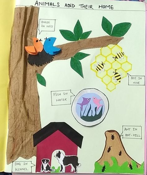 This is how we can make creative project like Animals and their home Insect Habitat, Kids Project Ideas, Body Parts Preschool Activities, Animals And Their Homes, Animal Homes, Body Parts Preschool, Animal Habitat, Insects Theme, Earth Day Crafts