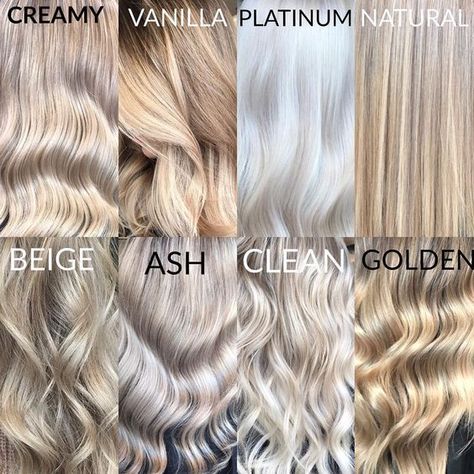 Creamy Hair Color Blondes, Blonde Hair And Highlights Light, Blonde Balayage For Cool Skin Tone, Types Of Platinum Blonde, Cool Toned Platinum Blonde Hair, Blonde Shades For Cool Skin Tones, Blonde Hair For Winter Skin Tone, Different Types Of Blonde Highlights, Cool Tones Blonde Hair