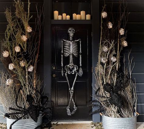 Halloween Trellis Decorations, Pottery Barn Lighting, Pottery Barn Halloween, Urban Interior Design, Outdoor Halloween Decor, Mr Bones, Halloween Outside, Halloween Front Porch Decor, Plants Growing