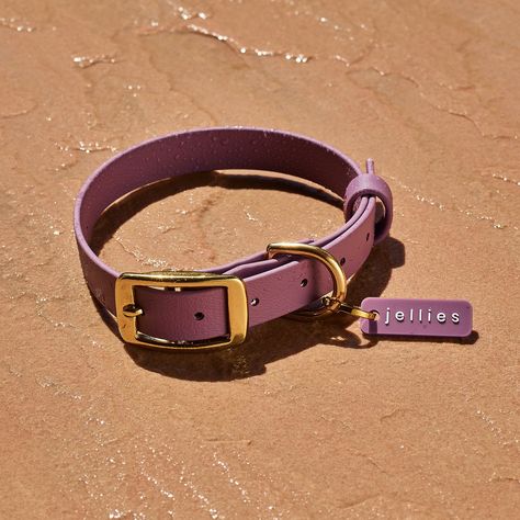 Aurora, latin for dawn, is a warm and earthy purple. Inspired by the changing sky as the sun rises on the seaside. 🌅 New waterproof Jellies Collection arrives on Tuesday! 💦 Earthy Purple, Black Friday Jewelry, Luxury Activewear, Waterproof Dog Collar, Stocking Fillers For Him, The Sun Rises, Sun Rises, Alphabet Jewelry, Stocking Fillers For Her