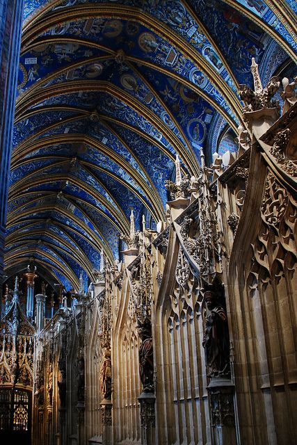 Albi France, Architecture Cool, Ravenclaw Aesthetic, France Style, Santa Cecilia, Chateau France, Cathedral Church, Church Architecture, Gothic Architecture