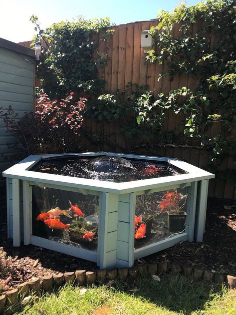 Raised Hexagon Wood Pond with Large Windows  - Lily Clear View Garden Aquarium  in Green 172 Gallon - Walmart.com Garden Aquarium, Deck Plans, Backyard Diy Projects, Ponds Backyard, Exterior Ideas, Fish Pond, Dream Backyard, Backyard Projects, Koi Pond