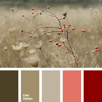 Color Palette #3004 In Color Balance, Color Generator, Color Concept, Color Palette Ideas, Wall Living Room, Warm Palette, Palette Ideas, Design Seeds, Color Balance