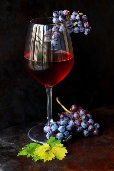 Art Du Vin, Wine Photography, Wine Painting, Fruit Photography, Still Life Photos, Wine Art, A Glass Of Wine, Fruit Painting, Wine Time