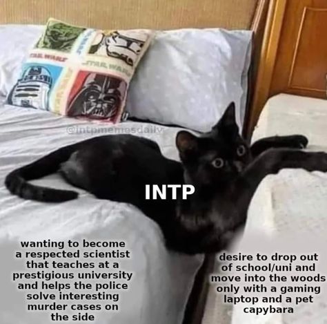 Fanfiction Inspiration, Intp Mbti, Internally Screaming, Intp Personality Type, Intp T, Mbti Memes, Intp Personality, Intj Intp, Mbti Relationships