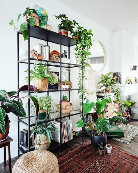 Plant Photography Tips Instagram Urban Jungle Bloggers Plants House, Lots Of Plants, Houseplants Indoor, Plant Photography, House Plants Decor, Room With Plants, House Plants Indoor, A Living Room, Stand Design