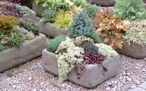 Belfast Sink Planter, Belfast Sink Garden Planter, Belfast Sink Garden, Garden Bathtub, Sink Toilet, Garden Sink, York Stone, Plant Containers, Old Sink