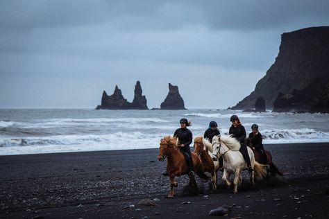 Horse Adventure, Iceland Travel Guide, South Iceland, Equestrian Helmet, Go Ride, Icelandic Horse, Black Beach, Beach Adventure, Horse Blankets