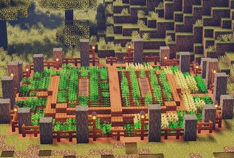 Minecraft Farm Ideas Crops, Minecraft Farm Ideas, Grow Wheat, Savanna Biome, Windmill Images, Carrot Farm, Crop Farming, Corkboard Ideas Decor, Farm Images