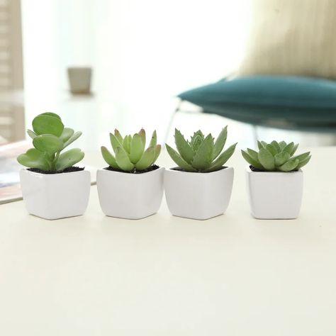 Tall Succulents, Modern Contemporary Living, Garden Escape, White Ceramic Planter, Plant In Pot, Fake Plants Decor, Succulents Decor, Mini Succulents, Pot Set