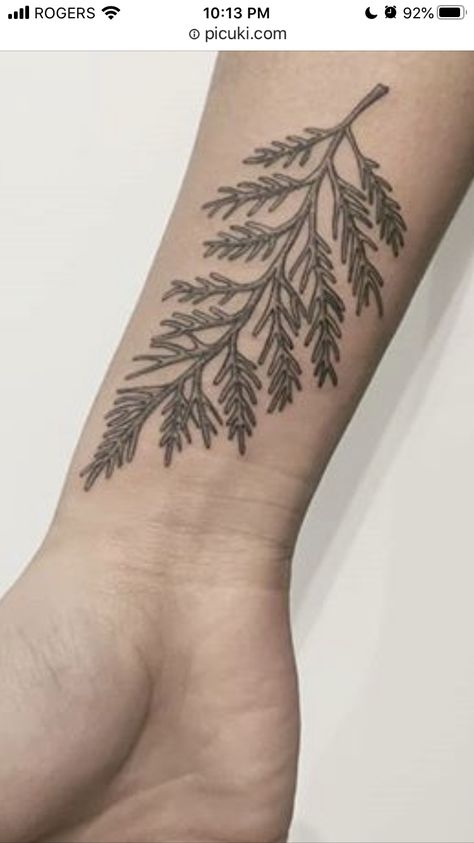 Cypress Branch Tattoo, Cedar Sprig Tattoo, Cedar Leaf Tattoo, Cedar Branch Tattoo, Cedar Tattoo, Cedar Tree Tattoo, Juniper Tattoo, Arm Patchwork, Salmon Tattoo