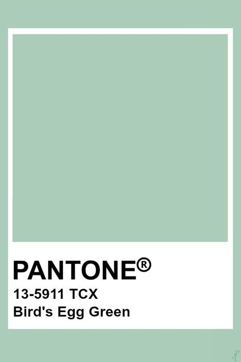 2019-2020 Autumn Winter "Noon" Bird's Egg Green Pantone Tcx Green, Mint Green Pantone, Mint Refresher, Pantone Tcx, Pantone Green, Pantone Color Chart, Pantone Swatches, Pantone 2020, Pantone Palette