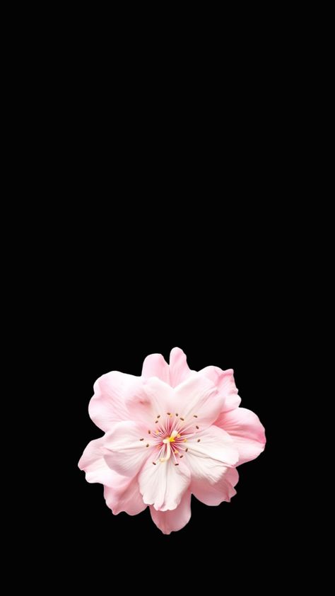 Flower wallpaper Initial Wallpaper, Flower Initial, Cutee Animals, Phone Wallpaper Pink, Flower Wallpaper, Pink Flower, Digital Scrapbooking, Cute Pictures, Phone Wallpaper