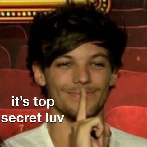 Secret Meme, Harry Styles Memes, 5sos Memes, Response Memes, 1d Funny, Reaction Pic, One Direction Humor, One Direction Memes, Funny Profile