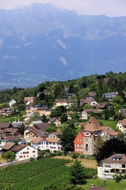 Vaduz Liechtenstein, Cozy Places, Breathtaking Places, Voyage Europe, Western Europe, Central Europe, Travel Europe, Small World, Countries Of The World