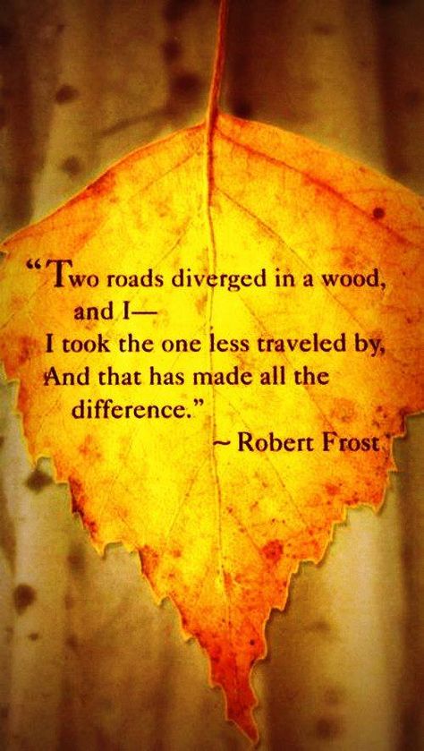 Robert Frost Quotes, Funny School Stories, Robert Frost Poems, Road Less Traveled, Robert Frost, Senior Quotes, Popular Quotes, Charles Dickens, Literary Quotes