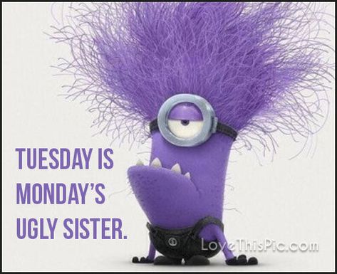 Tuesday Is Mondays Ugly Sister Minion Run, Tuesday Quotes Funny, Evil Minion, Purple Minions, Happy Birthday Minions, Minion Banana, Happy Tuesday Quotes, Tuesday Humor, Evil Minions