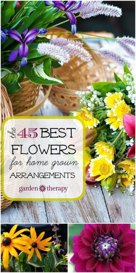 Backyard Flowers Garden, Flowers To Grow, Garden Therapy, Flowers For Home, Walkway Ideas, Backyard Flowers, Best Flowers, Small Backyard Gardens, Flower Garden Design