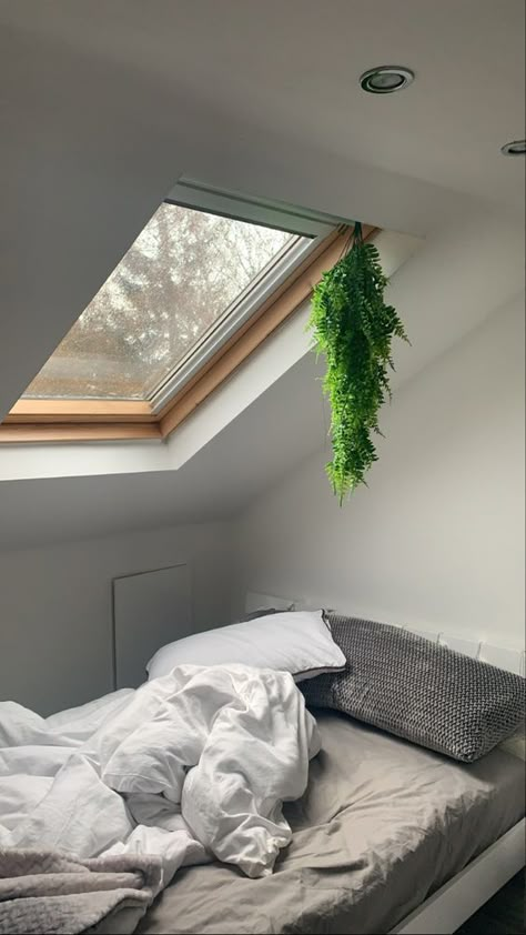 Skylight Bedroom Aesthetic, Sky Light Room, Ceiling Window Bedroom, Skylight In Bedroom, Slanted Roof Bedroom, Skylight Bedroom, Skylight Room, Japanese Home Decor, Cosy Room