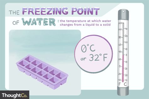 What Is the Freezing Point of Water? Freezing Point, Beautiful Swan, Melting Point, Science Fair, Water Temperature, Ice Cube, Frozen, Science, Water