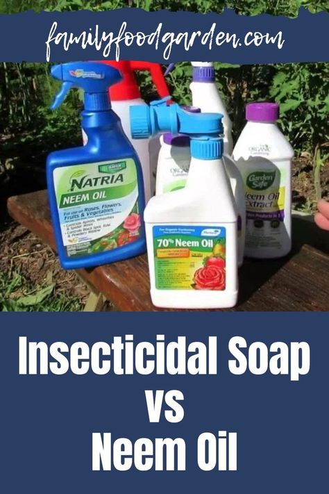 When it comes to pest control there are a variety of options and Family Food Garden looks at insecticidal soap vs neem oil and which is better. You can find insecticidal soap explained as well origins and availability. Get a recipe complete with ingredients for making homemade insecticidal soap spray. See how to use insecticidal soap complete with disadvantages and advantages. Learn about neem oil and how to make homemade neem oil spray. Find out which of these options you should use here. Diy Insecticidal Soap, Organic Insecticide, Beds Diy, Castille Soap, Garden Bugs, Vegetable Garden Planning, Insecticidal Soap, Raised Garden Beds Diy, Bug Repellent