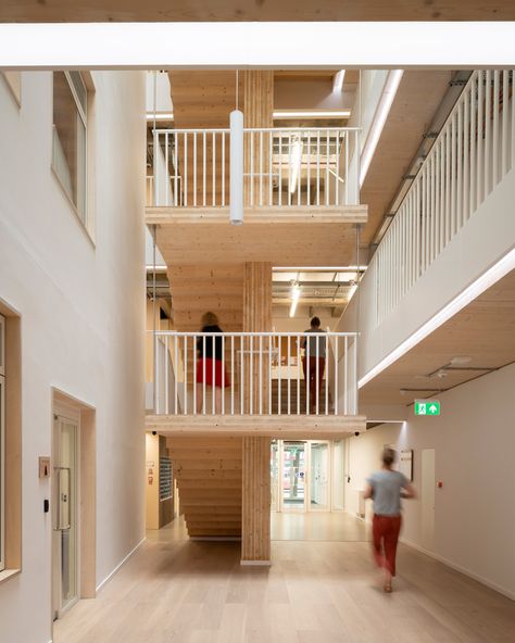 Waugh Thistleton, Small House Extensions, Timber Projects, Staircase Handrail, London Buildings, Modern Office Space, Timber Buildings, Concrete Building, Timber Structure