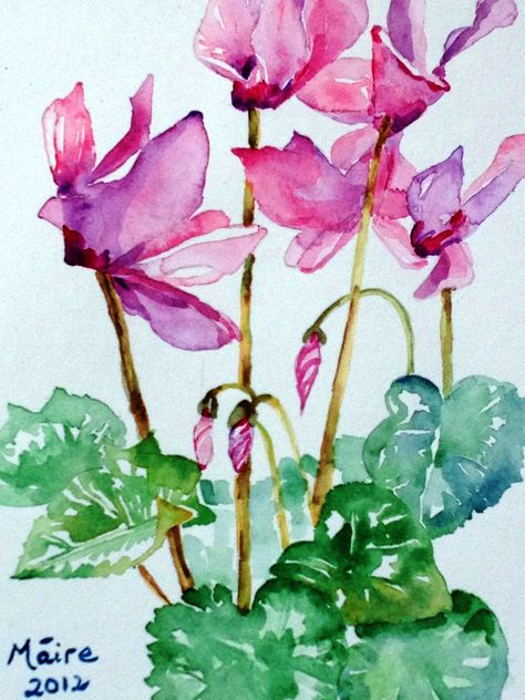 Cyclamen Watercolour | My paintings Joy Painting, Learn Watercolor Painting, Learn Watercolor, Watercolor Pictures, Watercolour Inspiration, Watercolor Prints, Contemporary Christmas, Autumn Painting, Watercolor Drawing