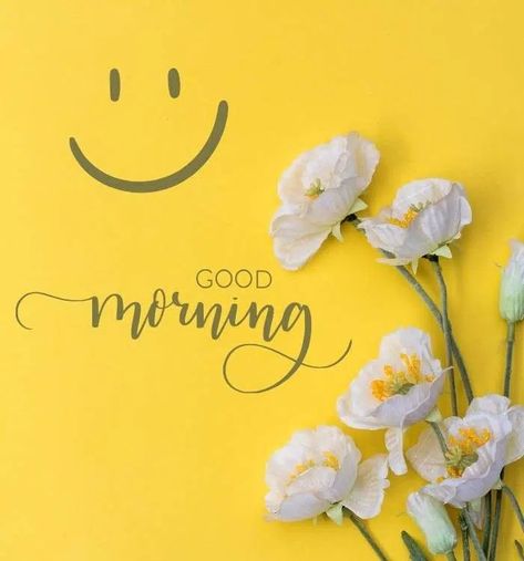 Good Morning Wishes Beautiful Good Morning Wishes, Good Morning Hd Images, New Good Morning Images, New Good Morning, Sunday Coffee, Good Night Wallpaper, Positive Good Morning Quotes, Good Morning Funny Pictures, Daily Greetings