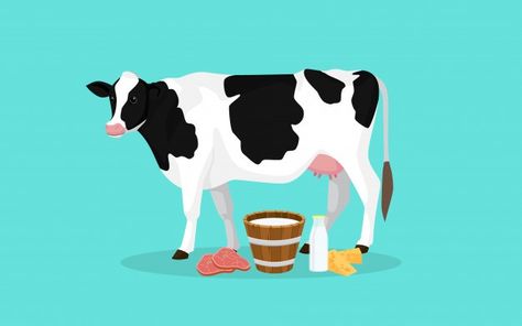 Cow farm production with meat milk and c... | Premium Vector #Freepik #vector #background #poster #food #label Animal Logo Design Inspiration, Cheese Vector, Cheese Illustration, Milk Advertising, Milk Photography, Milk Factory, Farm Cartoon, Cow Vector, Cow Illustration