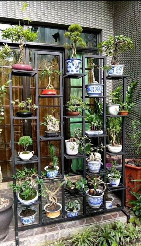 Outdoor Plant Stand Ideas, Plant Stands Ideas, Corner Plant Stands, Plant Stand Wall, Plant Stand Corner, Plant Stands Indoor, Plant Stand Outdoor, Plant Stand Wood, Outdoor Plant Stand