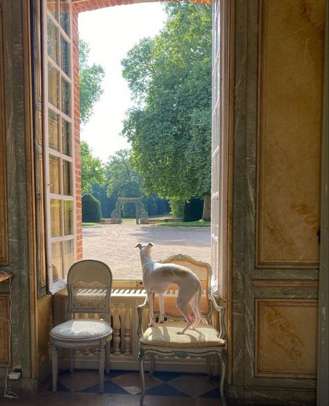 Country Side Aesthetic, English Countryside Aesthetic, Countryside Aesthetic, Old Money House, Chateaux Interiors, Living In Arizona, Countryside House, Small Town Girl, Country Side