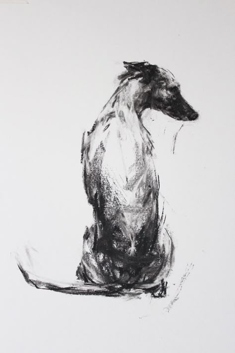 Charcoal And Ink Art, Greyhound Sketch, Simple Charcoal Drawing, Charcoal Illustration, White Ink Drawing, Watercolour Artists, Sketch Charcoal, Greyhound Art, Dog Sketch