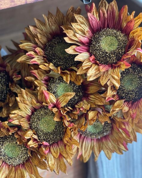 🍁 Fall vibes around the shop 🍂🐿️ #fall #portjefferson #portjeffersonvillage #shopsmall #pumpkins #wherewomencreate #womeninbusiness #pumpkin #maple #sunflowers🌻 Fall Vibes, Small Shop, Pumpkins, Sunflower