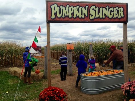 Corn Maze Ideas, Pumpkin Patch Business, Agritourism Farms, Farm Tourism, Maze Ideas, Pumpkin Patch Corn Maze, Pumpkin Patch Ideas, Farm Festival, Pumpkin Patch Farm