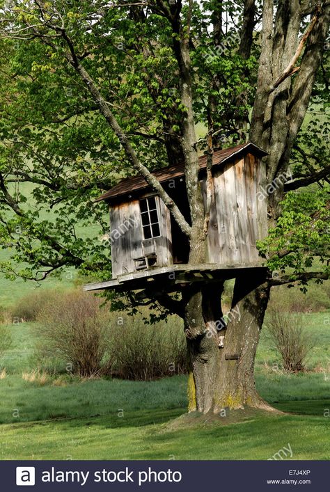 Download this stock image: Wonderful Old Treehouse in the Country. - E7J4XP from Alamy's library of millions of high resolution stock photos, illustrations and vectors. Apocalypse Room, Old Treehouse, Elliot Aesthetic, Treehouse Aesthetic, Rustic Treehouse, Forest Village, Cool Tree Houses, Moonrise Kingdom, Deer Stand