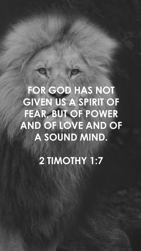 Gods Princess, 2 Timothy 1 7, Spirit Of Fear, Walk In Love, Sound Mind, 2 Timothy, Daily Scripture, Prayer Board, A Lion