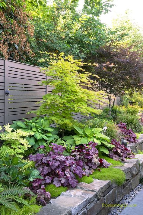 Foliage Garden Ideas, Boarder Garden, Midwestern Landscape, Backyard Boss, Foliage Garden, Shade Garden Design, Japanese Garden Landscape, Small Landscape, Shade Garden Plants