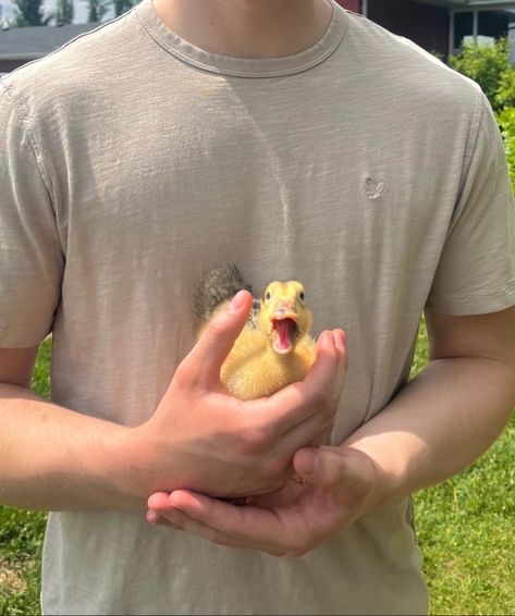 Duck Aesthetic, Duck Quack, Duck Yellow, Holding A Baby, Baby Duck, Yellow Baby, Duck Duck, Holding Baby, Baby Ducks