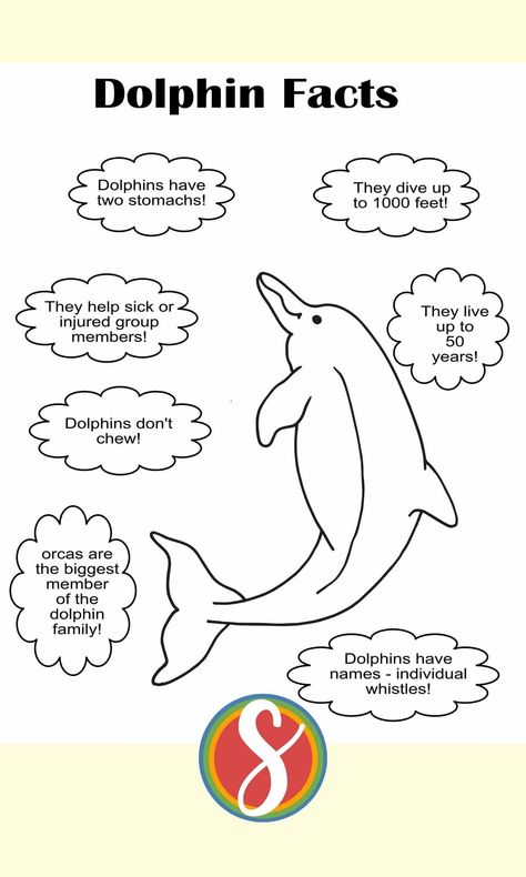 Free dolphin facts coloring page from Stevie Doodles - 11 free dolphin coloring pages! Print and color this page with fun dolphin facts free today #dolphinfacts #animalfacts #freedolphinfactsprintable #dolphinfactsactivitysheet #educationaldolphinactivity #dolphinactivities #dolphinfactscoloringpage Dolphin Facts For Kids, Dolphin Craft, Dolphin Facts, Dolphin Coloring Pages, Classroom Charts, Free Kids Coloring Pages, Animal Crafts For Kids, Animal Projects, Free Printable Coloring