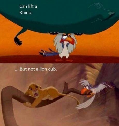 Come on Zazu.. Kiara Lion King, Cartoon Logic, Il Re Leone, Funny Disney Memes, Disney Facts, Disney Jokes, Disney Lion King, Disney Memes, The Lion King