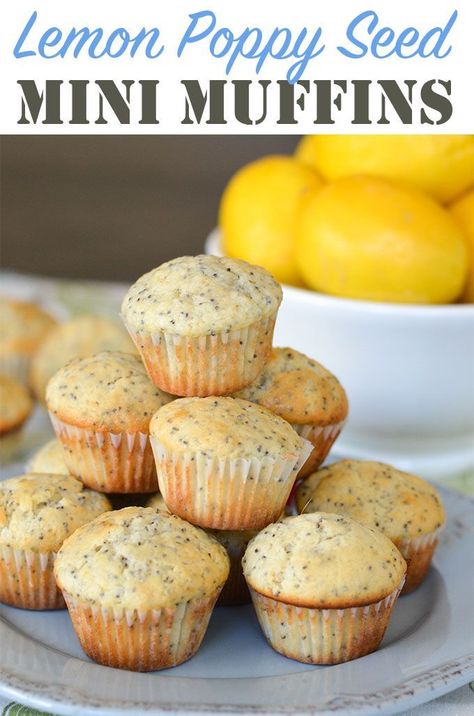 Mini Muffin Recipe, Lemon Poppy Seed Muffins, Seed Muffins, Poppy Seed Muffins, Lemon Poppyseed Muffins, Lemon Blueberry Muffins, Lemon Poppy Seed, Muffin Tin Recipes, Lemon Muffins