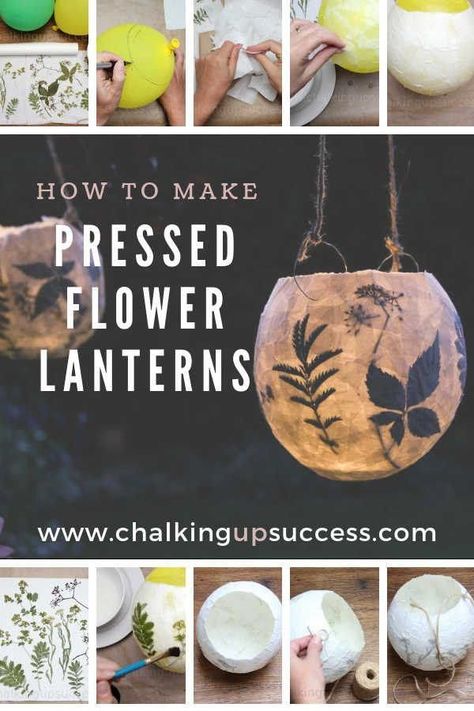 Pressed Flower Lanterns, Truck Garden, Pressed Flower Crafts, Diy Chalk, Fleurs Diy, Alpine Plants, Flower Plants, Garden Types, Plants Decor