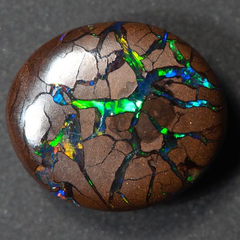 Pretty Rocks, Beautiful Rocks, Mineral Stone, Minerals And Gemstones, Rocks And Gems, Precious Gems, Gems And Minerals, Boulder Opal, A Rock