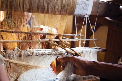 A woman helps a weaver settle the muga silk yarn on to the handloom frame. Boko is an important centre for the production of muga silk in Assam. BOKO. ASSAM. Muga Silk, Handloom Weaver, Traditional Dance, Stylish Handbags, Silk Yarn, Handloom Saree, Natural Dyes, The Process, Hand Weaving