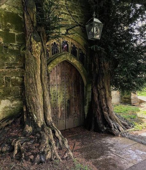 Witchy Cottage, Cottage Core House, Stow On The Wold, England Aesthetic, Witch Cottage, Forest Core, Create Reality, Cottage Aesthetic, Art Village