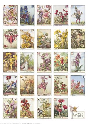 A Flower Fairy Alphabet Fairy Cards, Fairy Illustration, Fairy Pictures, Cicely Mary Barker, Vintage Fairies, Trendy Flowers, Flower Fairies, Alphabet Poster, Vintage Tattoo