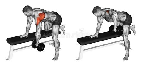 Exercising. Thrust dumbbells in the slope rear deltoid vector illustration Rear Delt Row, Rear Delt Exercises, Back Of Arm Exercises, One Arm Dumbbell Row, Deltoid Workout, Upper Back Exercises, Shoulder Training, Rear Delt, Muscle Training