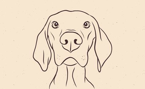 Magyar Vizsla Dog Illustration featuring a cute simple design of a puppy. Great for dog lovers and pet owners!  Design available for commercial and promotional use, great for logos, business cards, presentations, motion graphics and more! Vizsla Tattoo, Dog Face Outline, Tatoo Dog, Dog Drawing Simple, Dog Line Drawing, Dog Design Art, Vizsla Dog, Colorful Hairstyles, Dog Line Art