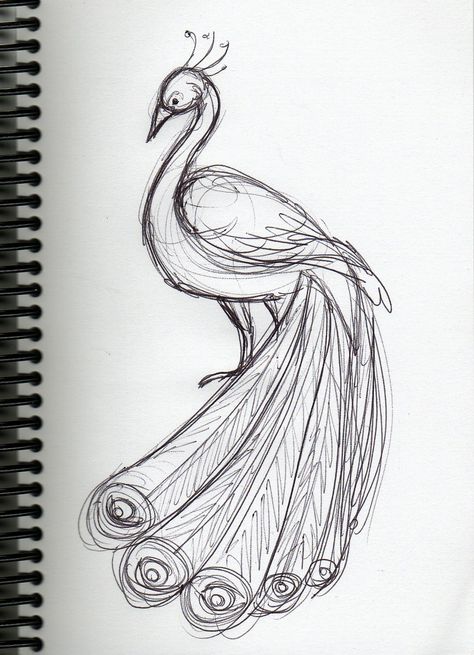 Peacock(: Peacock Dancing In Rain Drawing, Peacock Drawing Sketch, Peacock Sketch Simple, Peacock Tail Drawing, Drawing Of A Peacock, How To Draw Peacock Feathers, Cute Peacock Drawing, Peacock Drawing Images, Peacock Drawing Simple